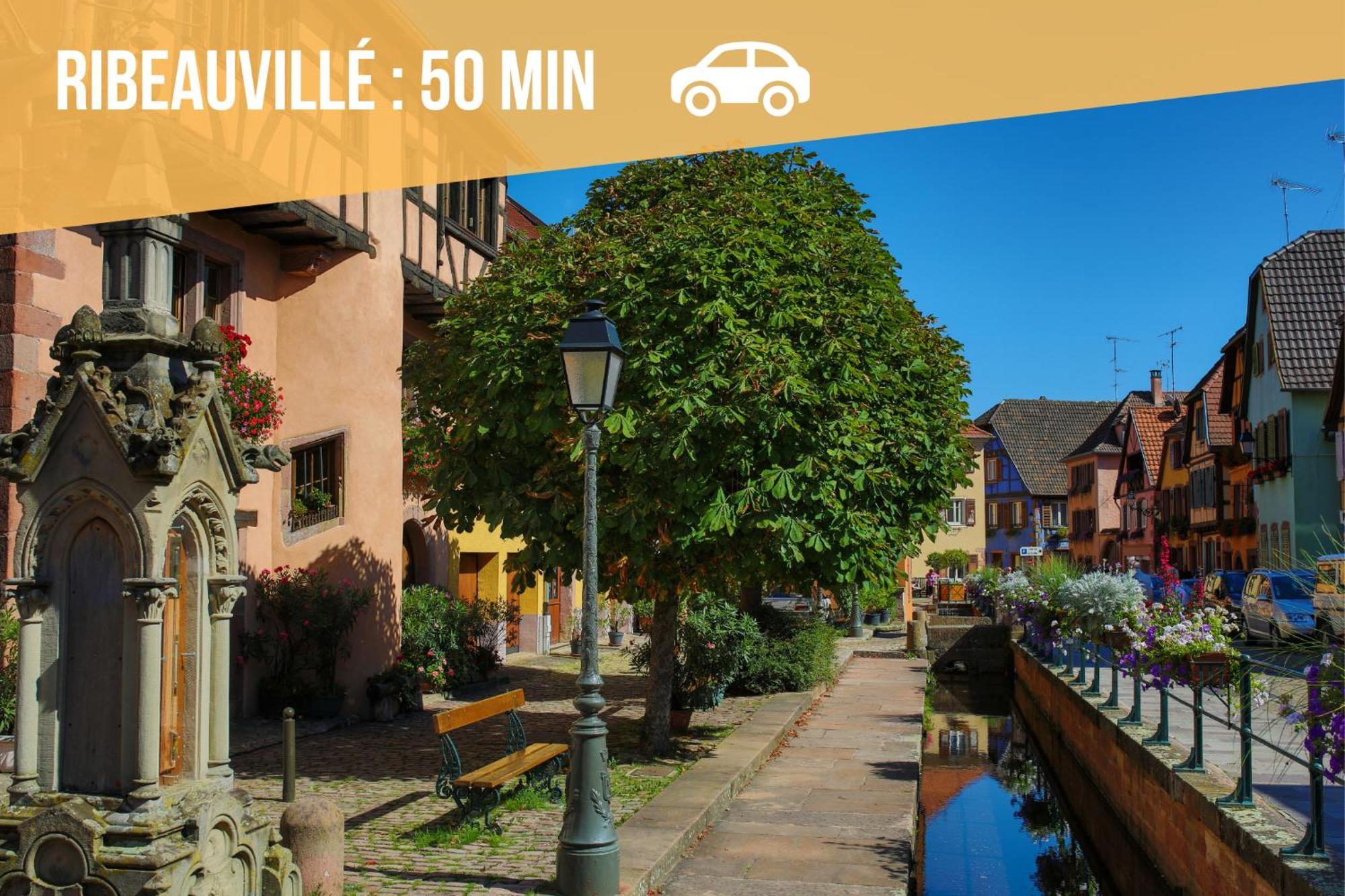 Lit Rond Tres Grand Et Confortable - Garage Possible Ou Parking Gratuit Rue - Gare 2 Min Et Ville 4 Min En Tram - Ciel Etoile - Netflix Videoprojecteur - Luxe Et Evasion Strasbourg Exterior photo