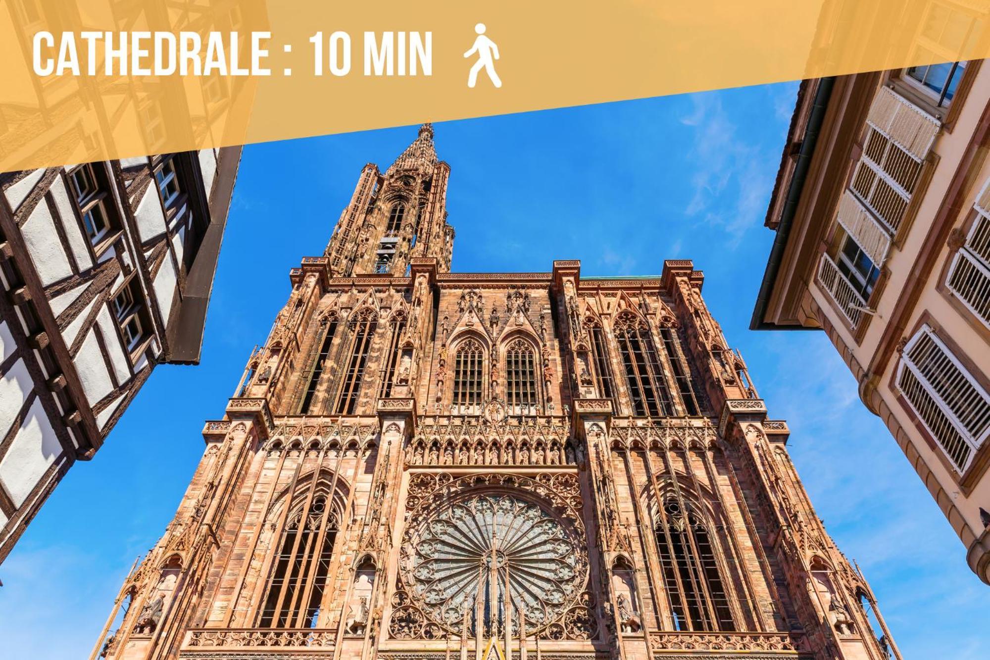 Lit Rond Tres Grand Et Confortable - Garage Possible Ou Parking Gratuit Rue - Gare 2 Min Et Ville 4 Min En Tram - Ciel Etoile - Netflix Videoprojecteur - Luxe Et Evasion Strasbourg Exterior photo
